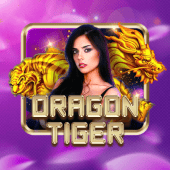Dragon Tiger bet 100 live casino