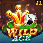 Wild Ace bet 100 slot